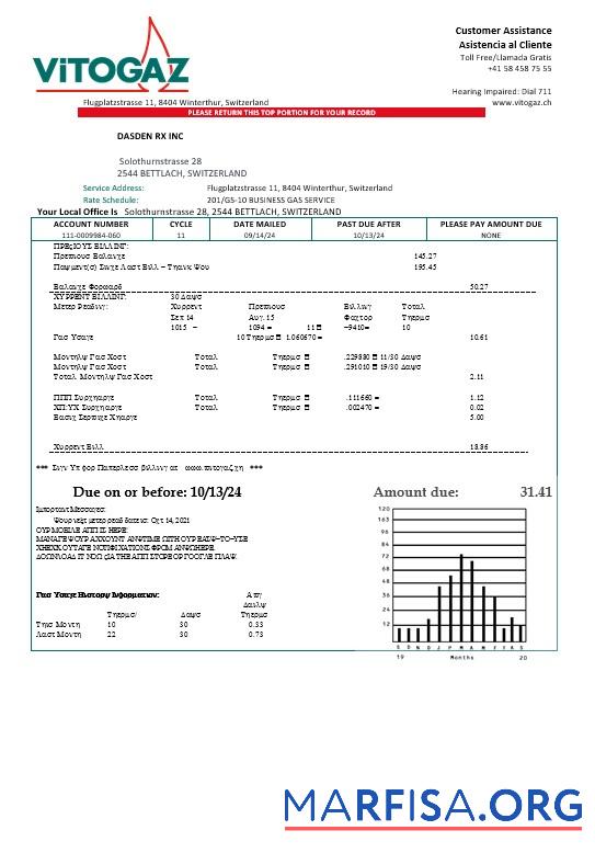 Downloadable Switzerland Vitogaz Switzerland AG business utility bill template, fully editable in Word and PDF formats